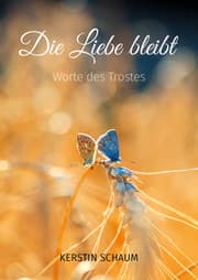 Cover von Die Liebe bleibt