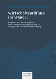 Cover von Wirtschaftsprüfung im Wandel