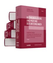 Cover von Rechnungslegung und Prüfung der Unternehmen (Gesamtausgabe)