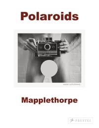 Cover von Polaroids