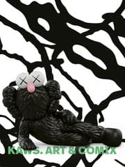 Cover von KAWS