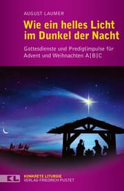 Cover von Wie ein helles Licht im Dunkel der Nacht