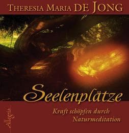 Cover von Seelenplätze