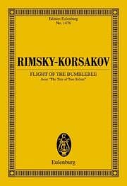 Cover von Hummelflug
