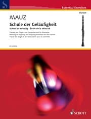 Cover von School of Velocity