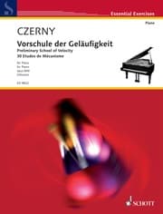 Cover von Preliminary School of Velocity