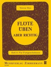 Cover von Flöte üben - aber richtig
