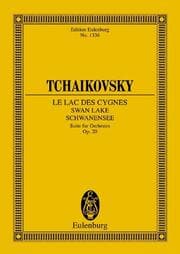 Cover von Schwanensee