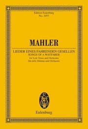 Cover von Lieder eines fahrenden Gesellen