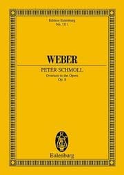 Cover von Peter Schmoll