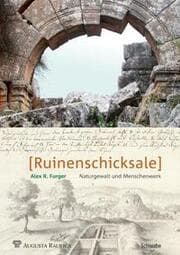 Cover von Ruinenschicksale