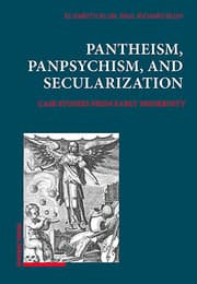 Cover von Pantheism, Panpsychism, and Secularization