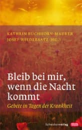 Cover von Bleib bei mir, wenn die Nacht kommt