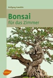 Cover von Bonsai für das Zimmer