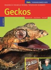 Cover von Geckos