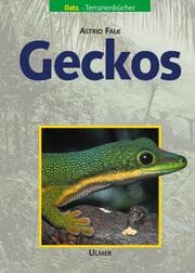 Cover von Geckos