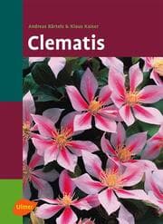Cover von Clematis