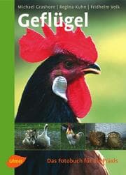 Cover von Geflügel