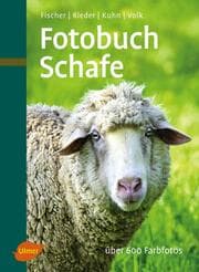 Cover von Fotobuch Schafe