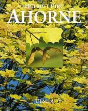 Cover von Ahorne