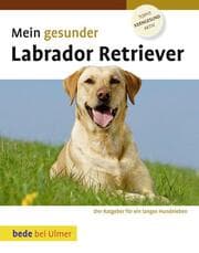 Cover von Mein gesunder Labrador Retriever