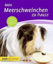 Cover von Mein Meerschweinchen zu Hause