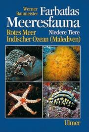 Cover von Meeresfauna - Niedere Tiere
