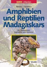 Cover von Amphibien und Reptilien Madagaskars
