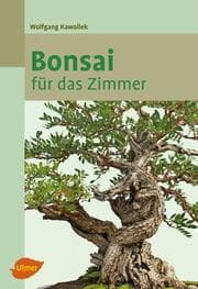 Cover von Bonsai für das Zimmer