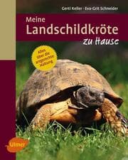 Cover von Meine Landschildkröte zu Hause