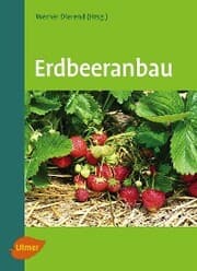Cover von Erdbeeranbau