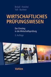 Cover von Wirtschaftliches Prüfungswesen