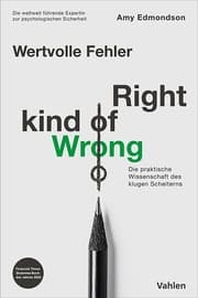 Cover von Wertvolle Fehler - Right Kind of Wrong