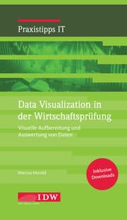 Cover von Data Visualization in der Wirtschaftsprüfung