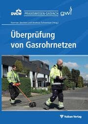 Cover von Überprüfung von Gasrohrnetzen