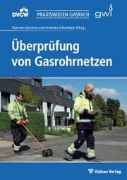 Cover von Überprüfung von Gasrohrnetzen