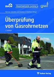 Cover von Überprüfung von Gasrohrnetzen