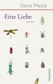 Cover von Eine Liebe