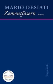 Cover von Zementfasern