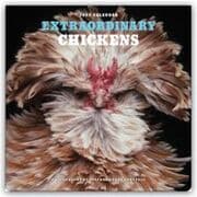 Cover von Extraordinary Chickens/Außergewöhnliche Hühner 2027