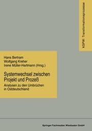 Cover von Systemwechsel zwischen Projekt und Prozeß