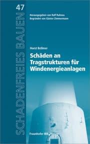 Cover von Schäden an Tragstrukturen für Windenergieanlagen
