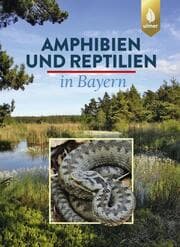 Cover von Amphibien und Reptilien in Bayern