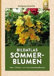 Cover von Sommerblumen