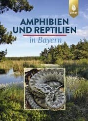 Cover von Amphibien und Reptilien in Bayern