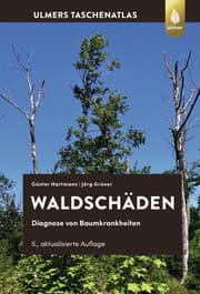 Cover von Waldschäden