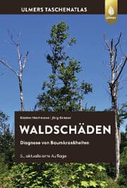 Cover von Waldschäden