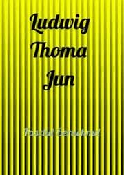 Cover von Faschd Beruehmd