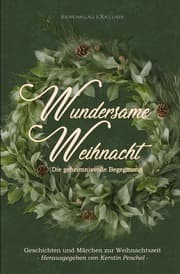 Cover von Wundersame Weihnacht - Die geheimnisvolle Begegnung: Geschichten und Märchen zur Weihnachtszeit