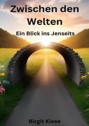 Cover von Zwischen den Welten: Ein Blick ins Jenseits